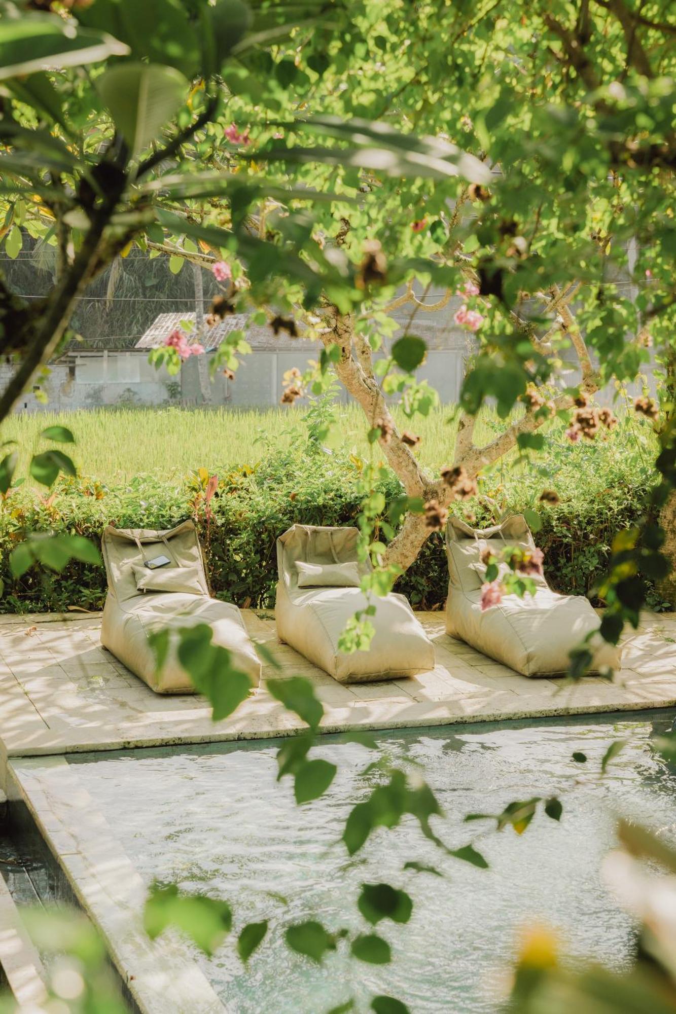 Villa Lumbung Ubud Buitenkant foto