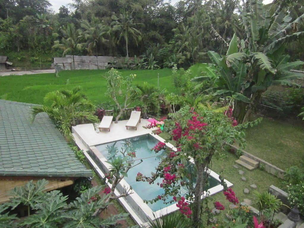 Villa Lumbung Ubud Buitenkant foto