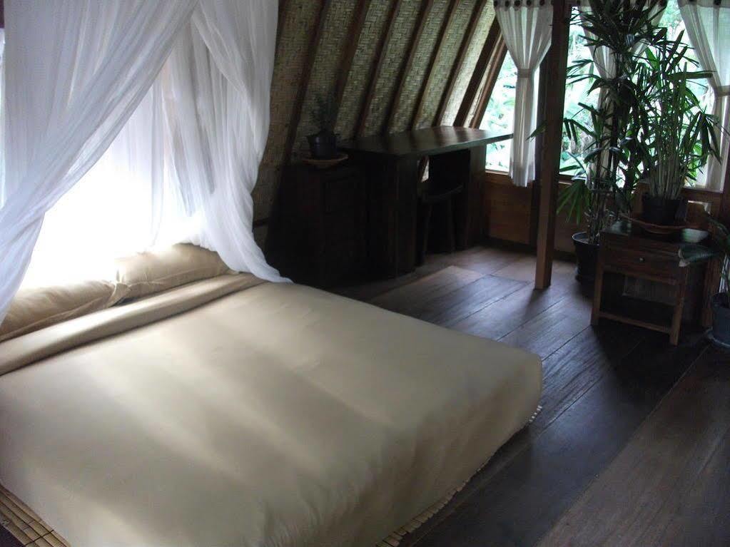 Villa Lumbung Ubud Buitenkant foto